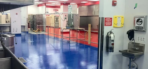 Interior of a food processing facility with bright red and blue flooring, stainless steel equipment, and sinks along the wall for sanitation.